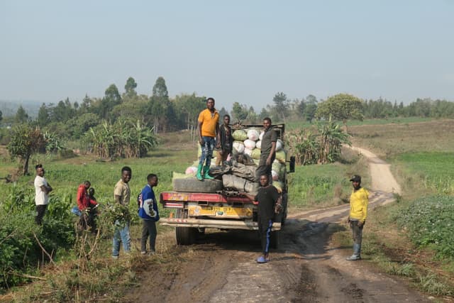 Kiyowela Ward gallery image 27